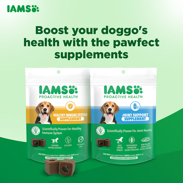 IAMS Proactive Health Dog Supplement For Joint Support