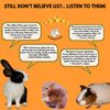 FloofYou Oven Baked Carrot Pumpkin Small Animal Treats Rabbits FloofYou