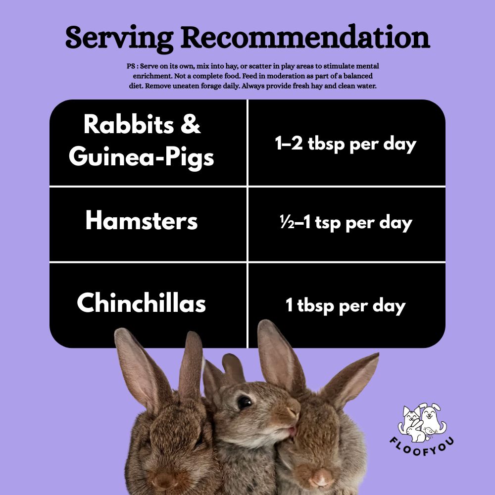 FloofYou Fibre Rich Forage Mix Rabbit Treats Rabbits FloofYou