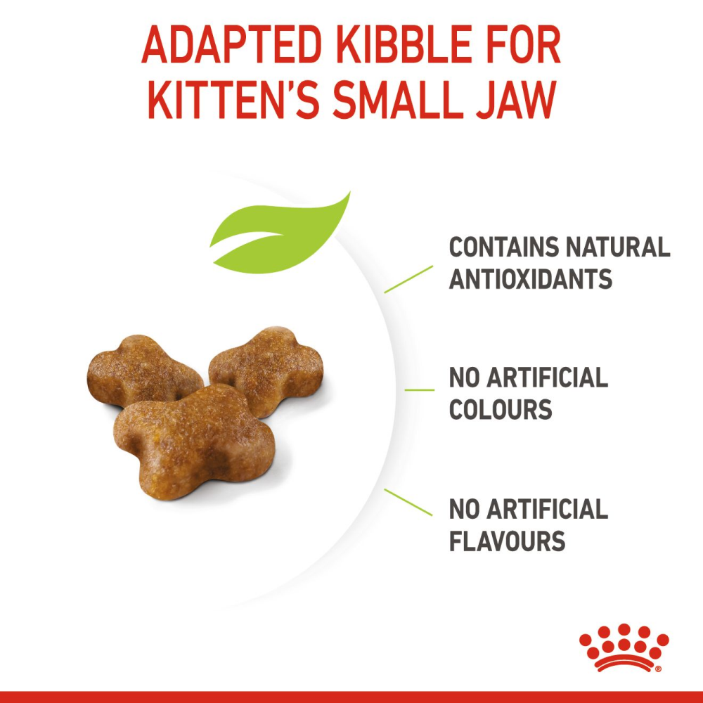 Royal Canin Kitten Cat Dry and Wet Food Combo