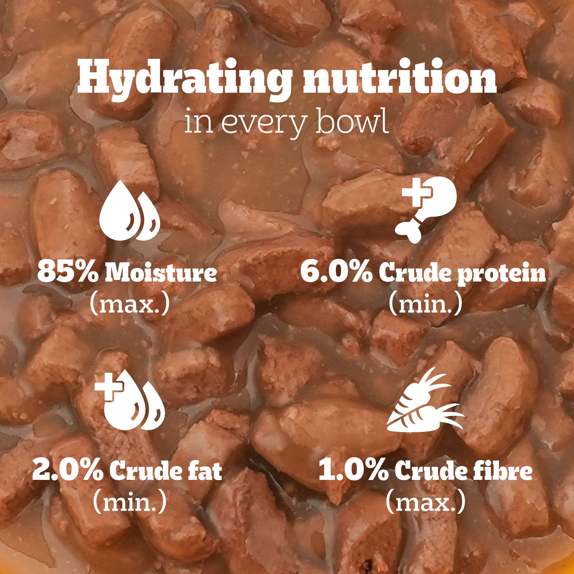 Pedigree Chicken and Liver Chunks in Gravy Adult Dog Wet Food (70g) Dogs-Wet Food Pedigree
