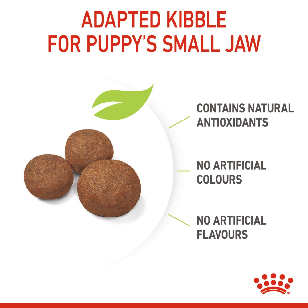 Royal Canin Medium Puppy Dog Dry and Wet Food Combo