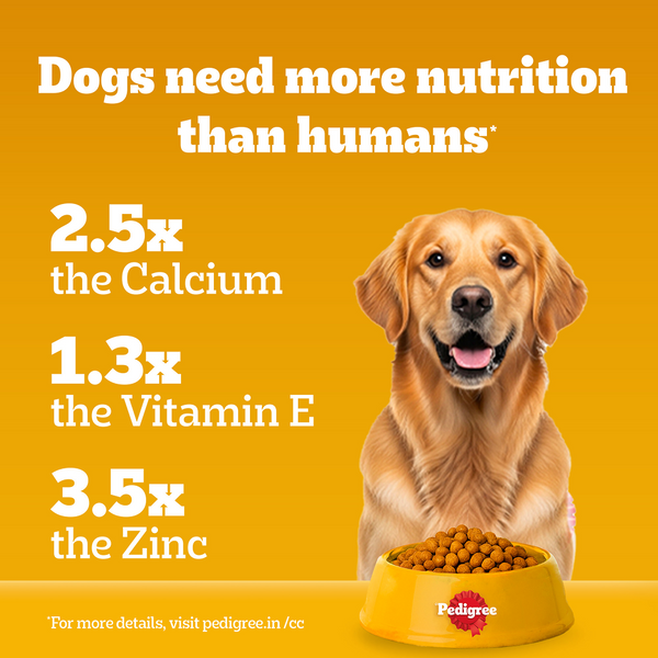 Pedigree Chicken and Vegetables Adult Dog Dry Food