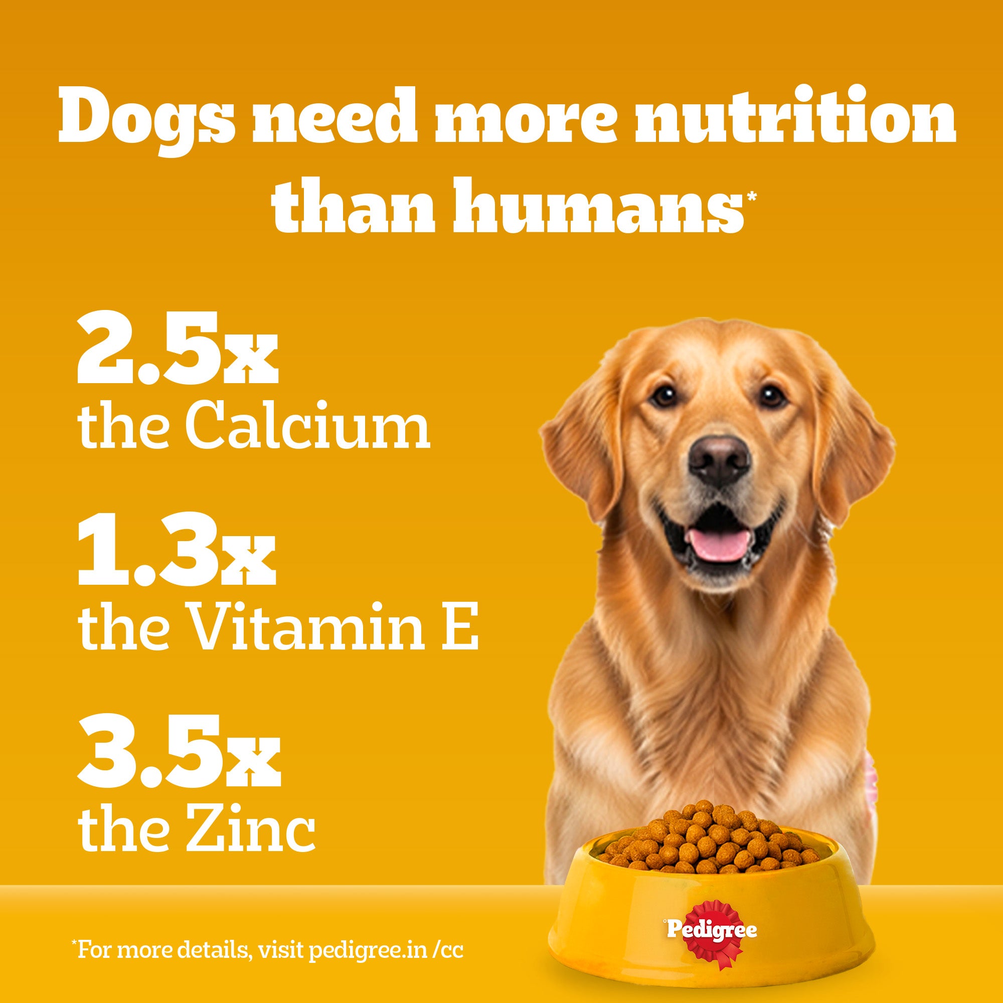 Pedigree Meat & Rice Adult Dog Dry Food Dogs- Dry Food Pedigree