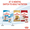 Royal Canin Medium Starter Dry Food for Medium Breed Dog and Puppies and Medium Puppy Dog Wet Food Combo Exclusive Combo Royal Canin