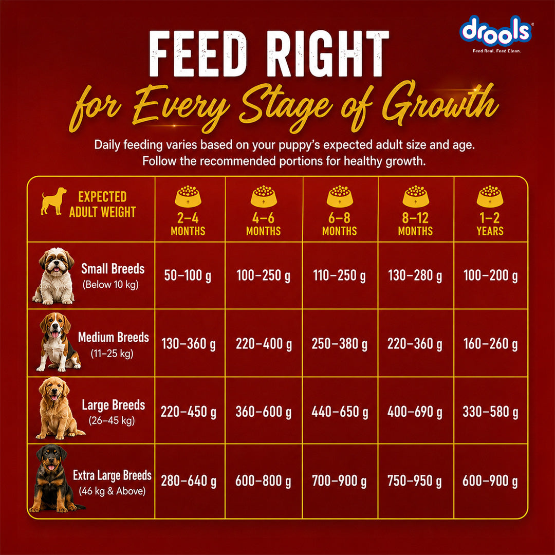Drools Chicken and Egg Puppy Dog Dry Food Dogs- Dry Food Drools