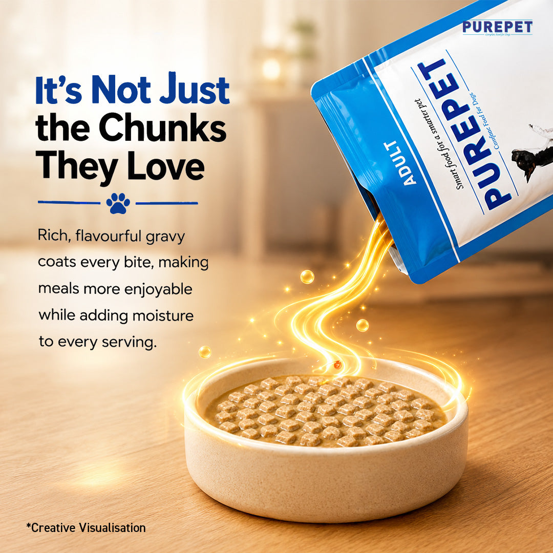 Purepet Chicken & Vegetable Chunks in Gravy Adult Dog Wet Food Dogs-Wet Food Purepet