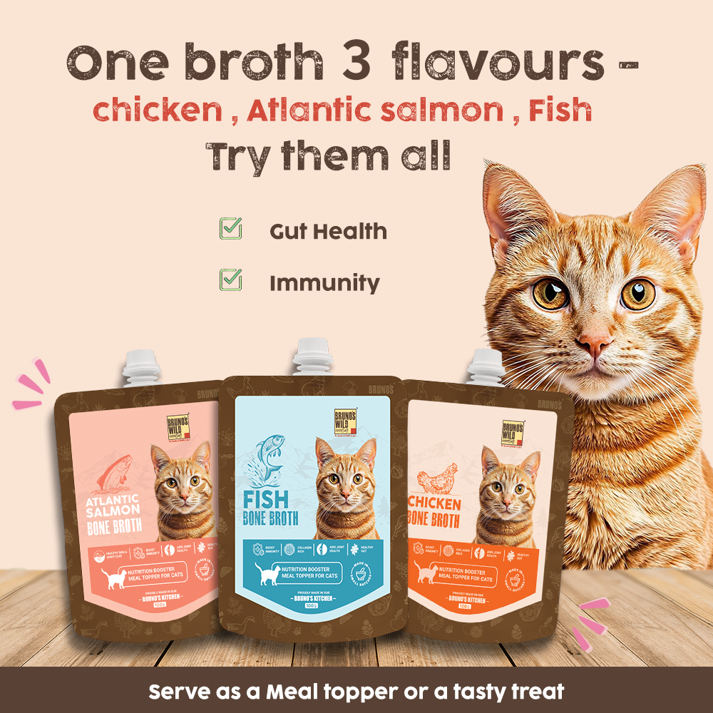 Bruno's Wild Essentials Chicken Bone broth For Cats Cats-Treats & Others Bruno's Wild Essentials