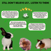 FloofYou Oven Baked Mixed Fruit & Veggies Small Animal Treats Rabbits FloofYou