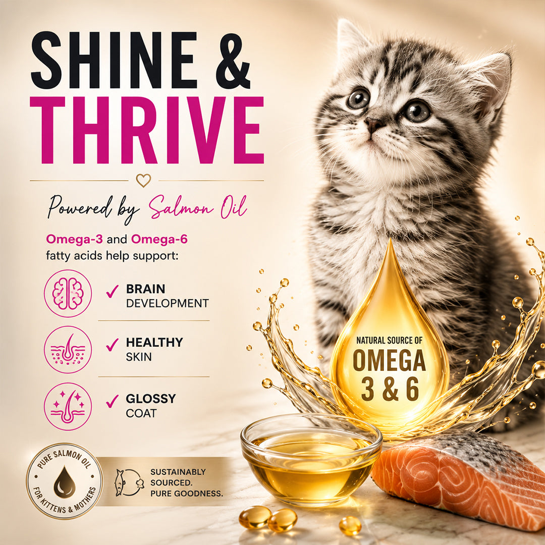 Signature Grain Zero Ocean Fish, Sardine and Mackerel Mother and Kitten Cat Dry Food Cats- Dry food Signature