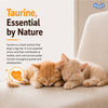 Drools Real Chicken Kitten Dry Food Cats- Dry food Drools