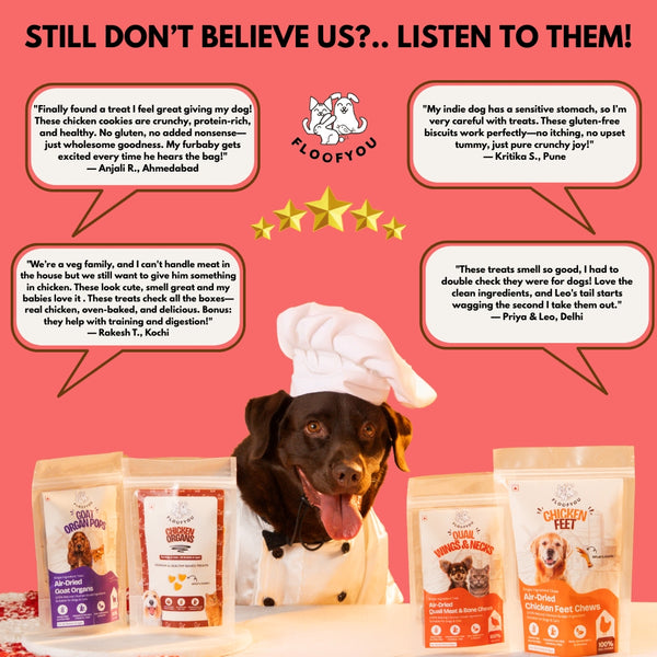 Floofyou Classic Chicken Oven Baked Cookie Dog Treats