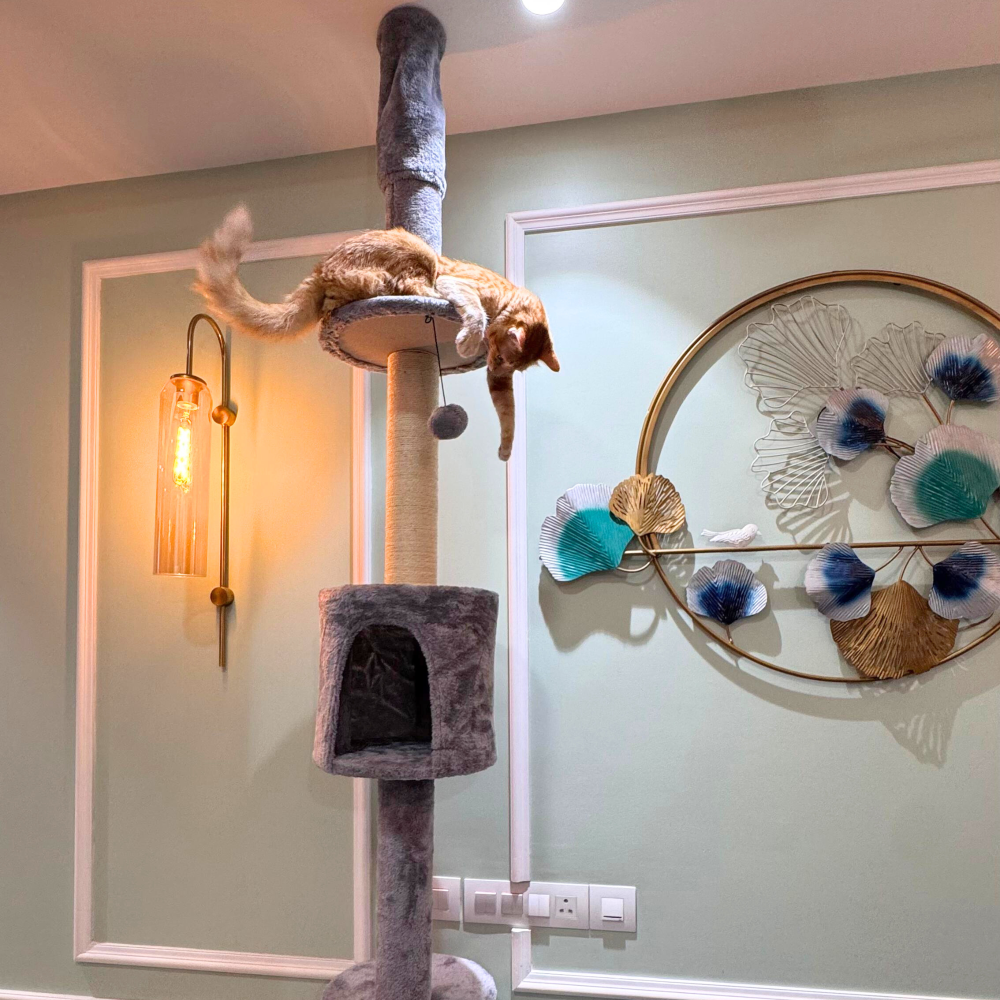 FurryLiving Sora Adjustable Floor to Ceiling with Scratching Posts, Condo and Hanging Toy Cat Tree Cats-Toys FurryLiving Dropship