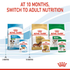 Royal Canin Mini Puppy Dog Wet Food Dogs-Wet Food Royal Canin