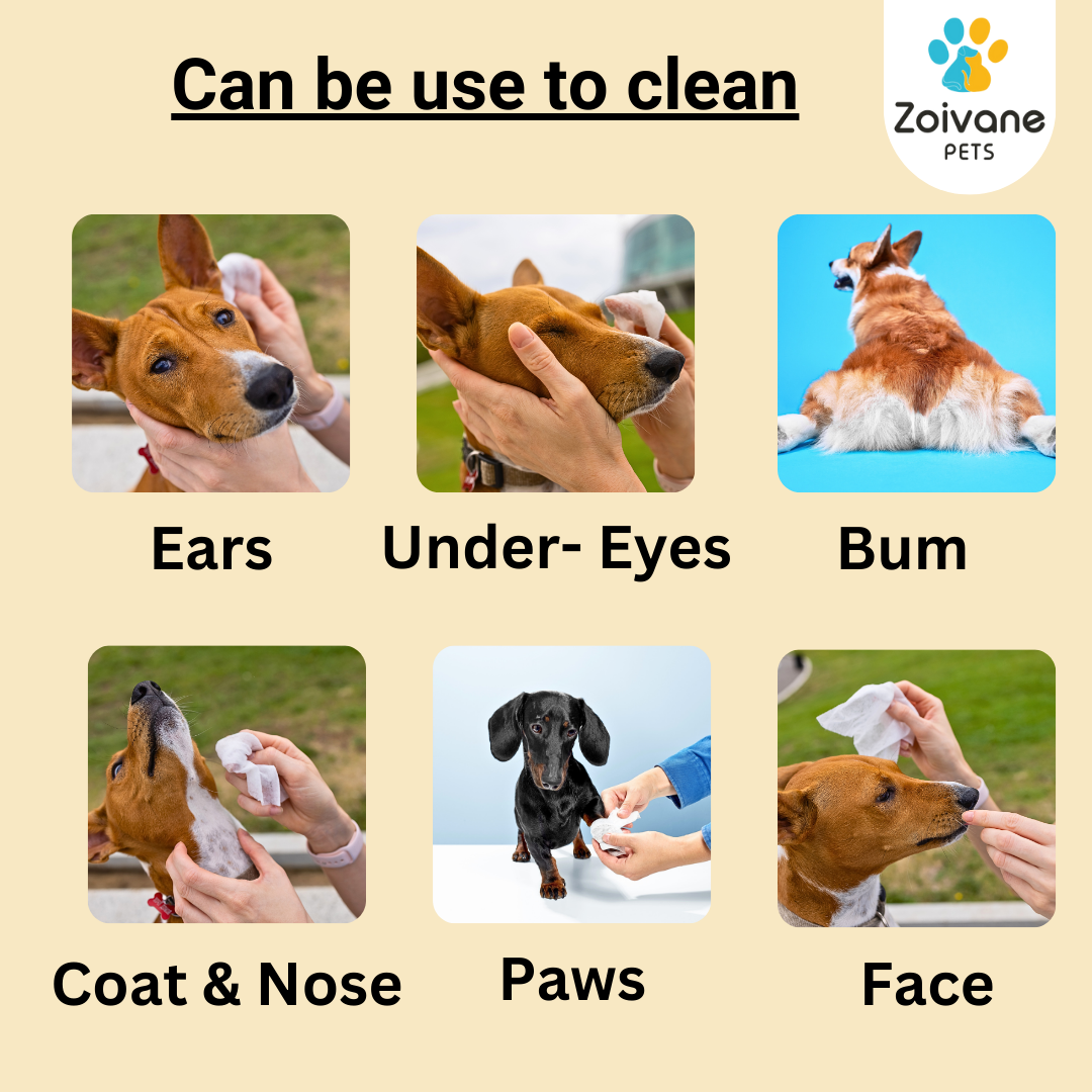 Zoivane Wet Wipes for Dogs and Cats Both-Grooming Supplies Zoivane