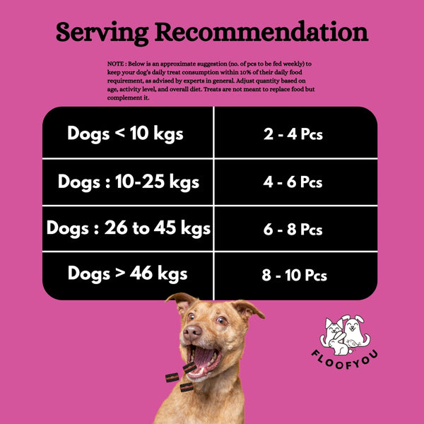 Floofyou Mini Floofio Beetroot Vegan Oven Baked Cookie Dog Treats