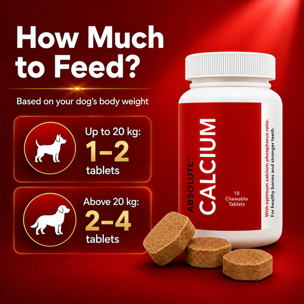 Drools Absolute Calcium Dog Supplement Tablets