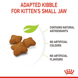 Royal Canin Sterilised Kitten Dry Food