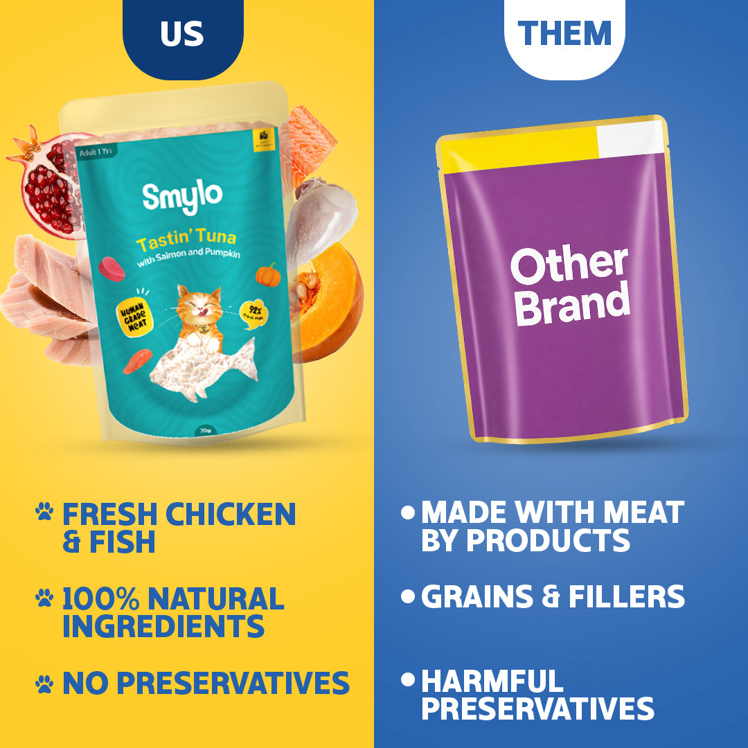 Smylo Kitten Trial Box, Tuna & Chicken, Fresh & No-Preservative Wet Cat Food Cats-Wet Food Smylo