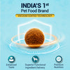 Bowlers Spinnerz Chicken & Vegetables Adult Dog Dry Food Dogs- Dry Food Bowlers