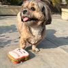 Goofy Tails Food Buddies Sandwich Plush Toy for Dogs