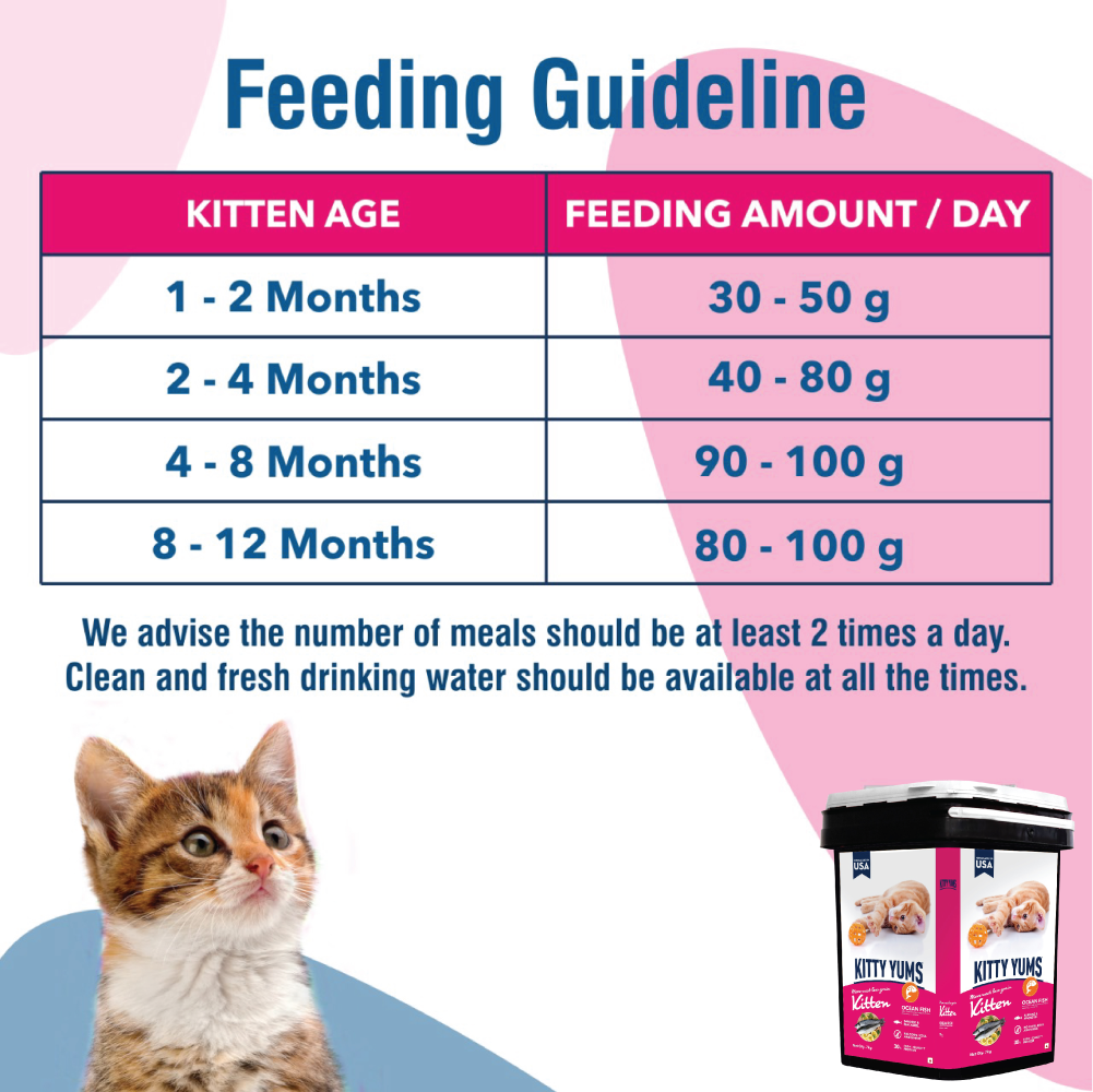Kitty Yums Ocean Fish Kitten Dry Food, Me O Creamy Chicken Liver Cats Treats Combo Exclusive Combo Exclusive Combo