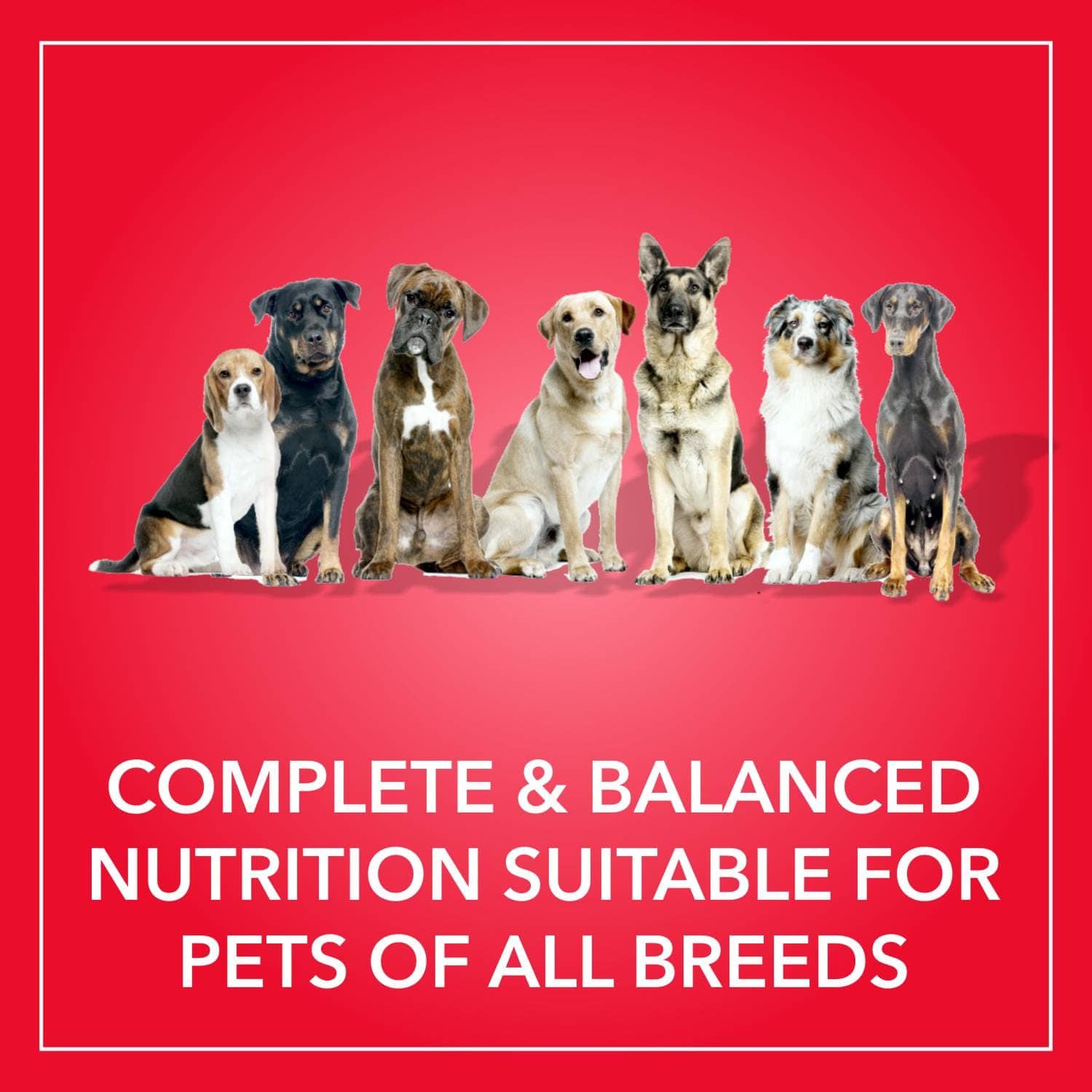 Purepet Meat and Rice Adult Dry Dog Food