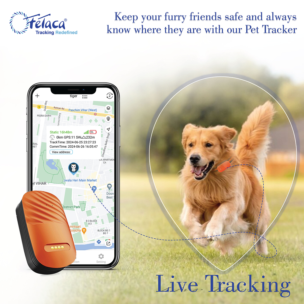 FeTaca Smart 4G GPS Tracker with Lifetime Free Tracking & 1 Year Data SIM Subscription for Dogs and Cats (Orange) Both-Collar, Leashes, harnesses FeTaca Dropship