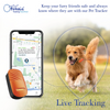 FeTaca Smart 4G GPS Tracker with Lifetime Free Tracking & 1 Year Data SIM Subscription for Dogs and Cats (Orange) Both-Collar, Leashes, harnesses FeTaca Dropship