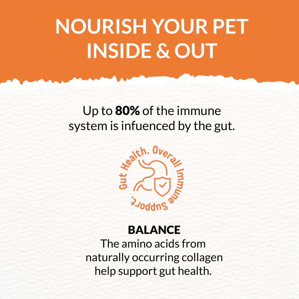 Goofy Tails Chicken Bone Broth for Dogs Dog Treats + Others Goofy Tails