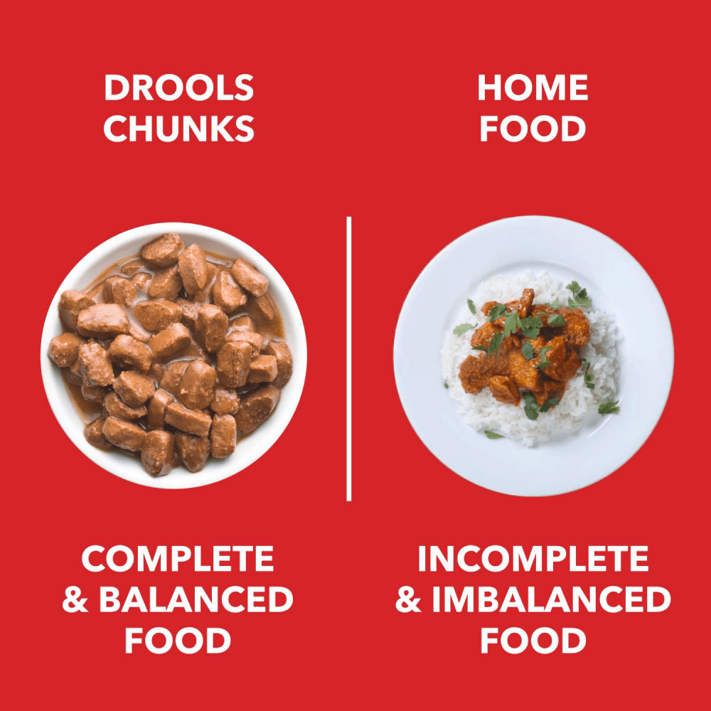 Drools Focus Super Premium Dry Food and Chicken & Liver Chunks in Gravy Adult Dog Wet Food Combo Exclusive Combo Exclusive Combo