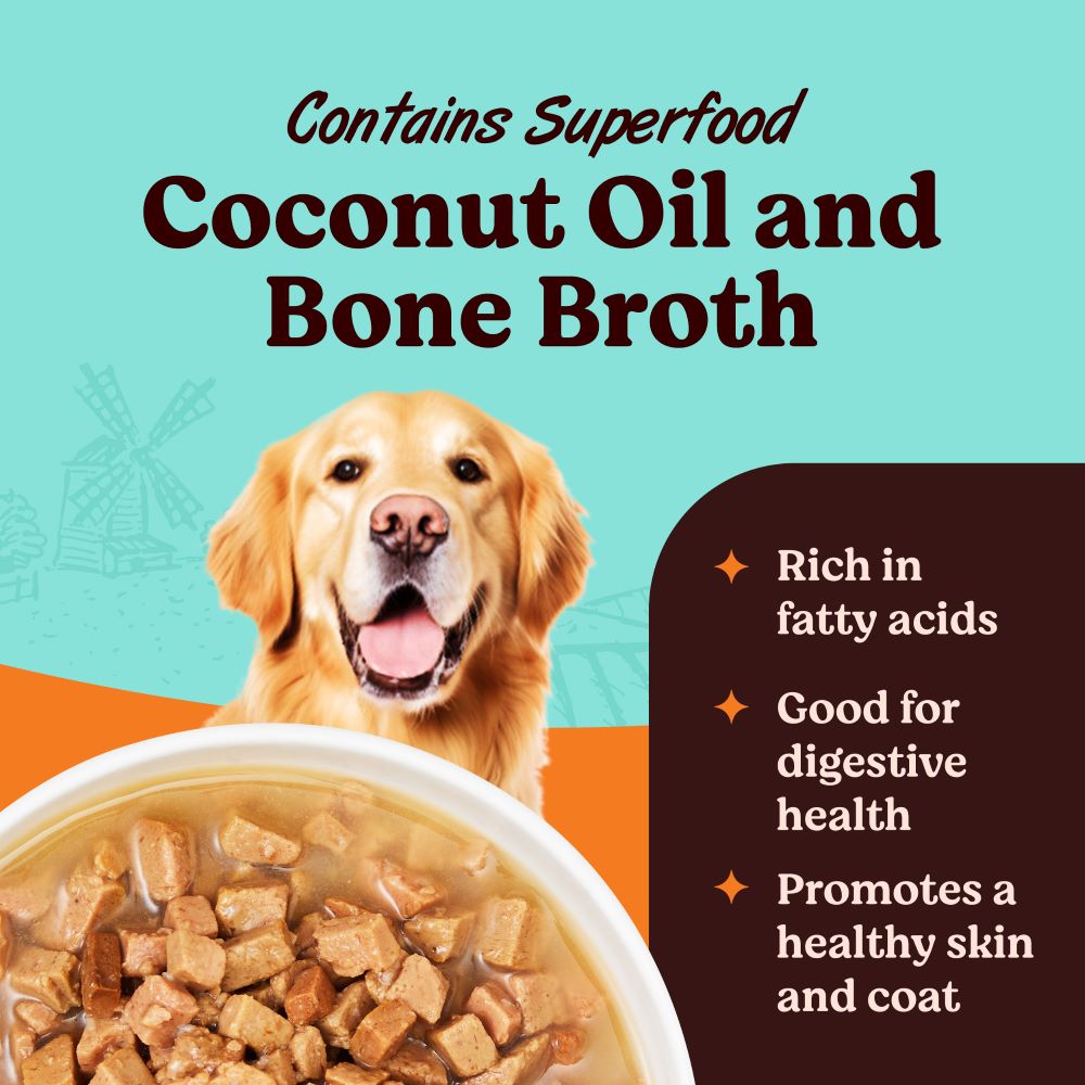 Kennel Kitchen Chicken Chunks in Gravy Adult and Puppy Wet Dog Food Dogs-Wet Food Kennel Kitchen