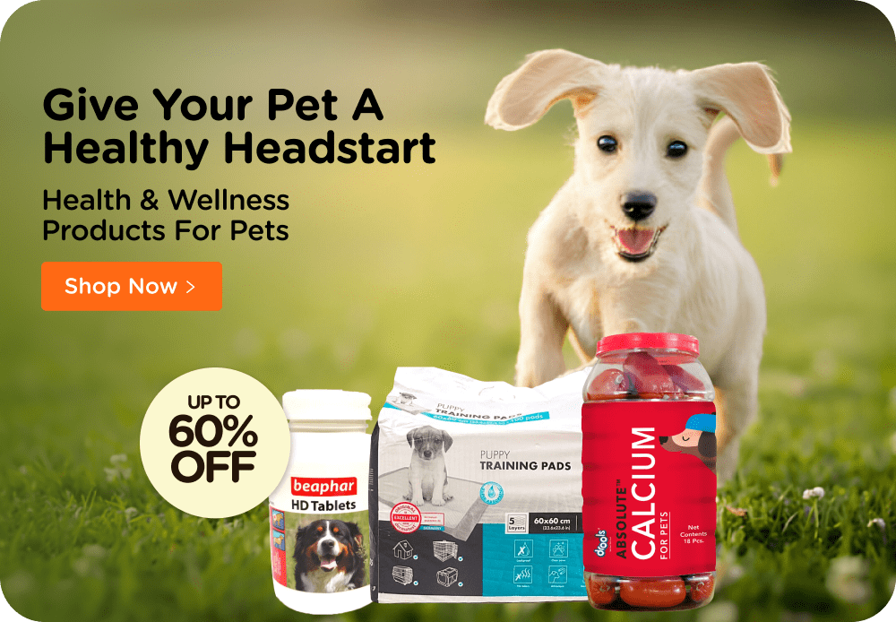 Dog websites for supplies deals