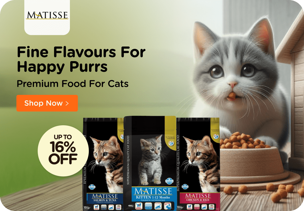 Cat hotsell food supplies