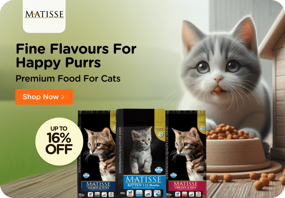 Online Pet Store Shop Pet Supplies and Products Supertails