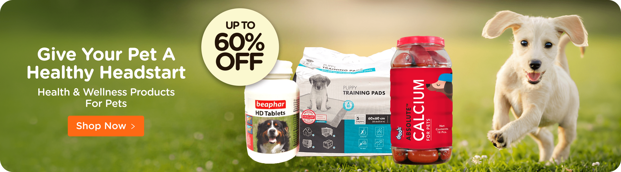 Dog products hot sale shop near me