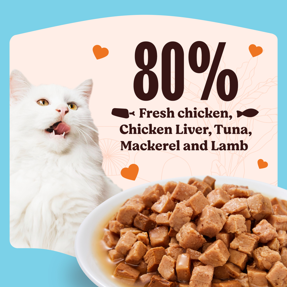 Kennel Kitchen Fish Gravy All Life Stage Wet Food, Scoopy Lavender Natural Brown Sand Cat Litter Combo Exclusive Combo Exclusive Combo