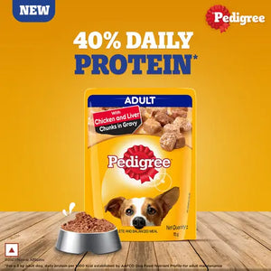 Pedigree Chicken and Liver Chunks in Gravy Adult Dog Wet Food (70g)