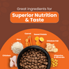 Lickicious Chicken and Vegetables Adult Dog Dry Food Dogs- Dry Food Lickicious