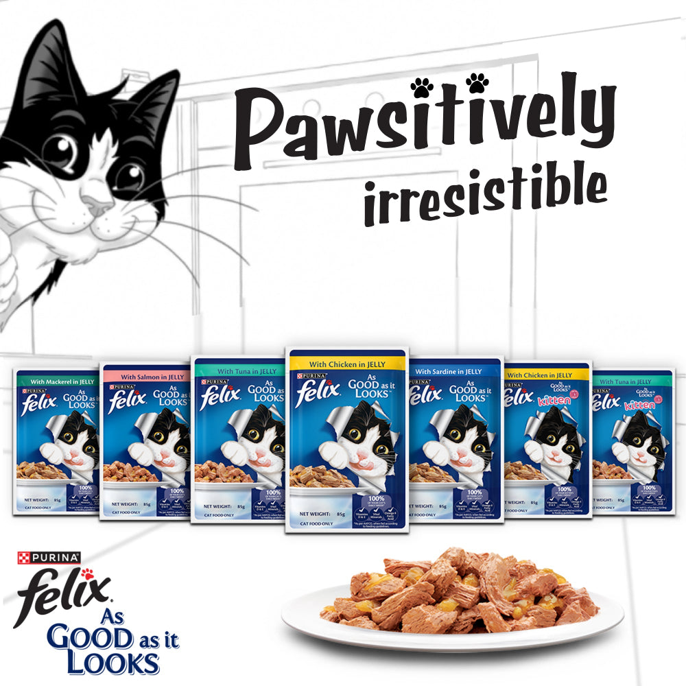 Purina Felix Chicken with Jelly Complete and Balanced Kitten Cat Wet Food Cats-Wet Food Felix