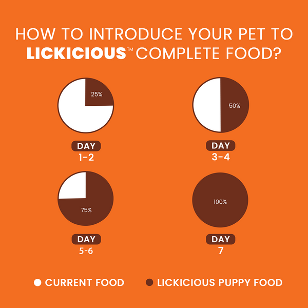 Lickicious Chicken, Egg and Milk Flavoured Puppy Dog Dry Food