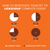 Lickicious Chicken, Egg and Milk Flavoured Puppy Dog Dry Food Dogs- Dry Food Lickicious