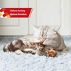 GiGwi Melody Chaser Bird Toy for Cats (Dark Brown)