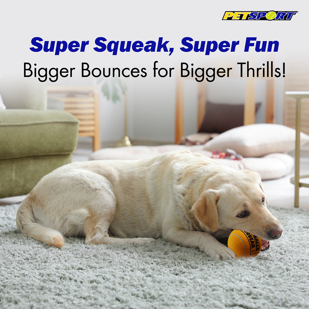 Petsport Giant Squeak Tuff Ball Toy for Dogs (Orange) Dogs-Toys Petsport