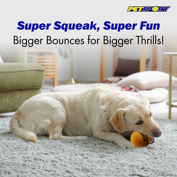Petsport Giant Squeak Tuff Ball Toy for Dogs (Orange)