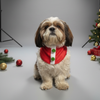 Pawgypets Christmas Bandana for Dogs and Cats Both-Clothing & Accessories Pawgypets Dropship