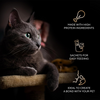 Sheba Duo Tuna & Chicken, Salmon & Tuna, Chicken & Salmon Crunchy Adult Cat Treats