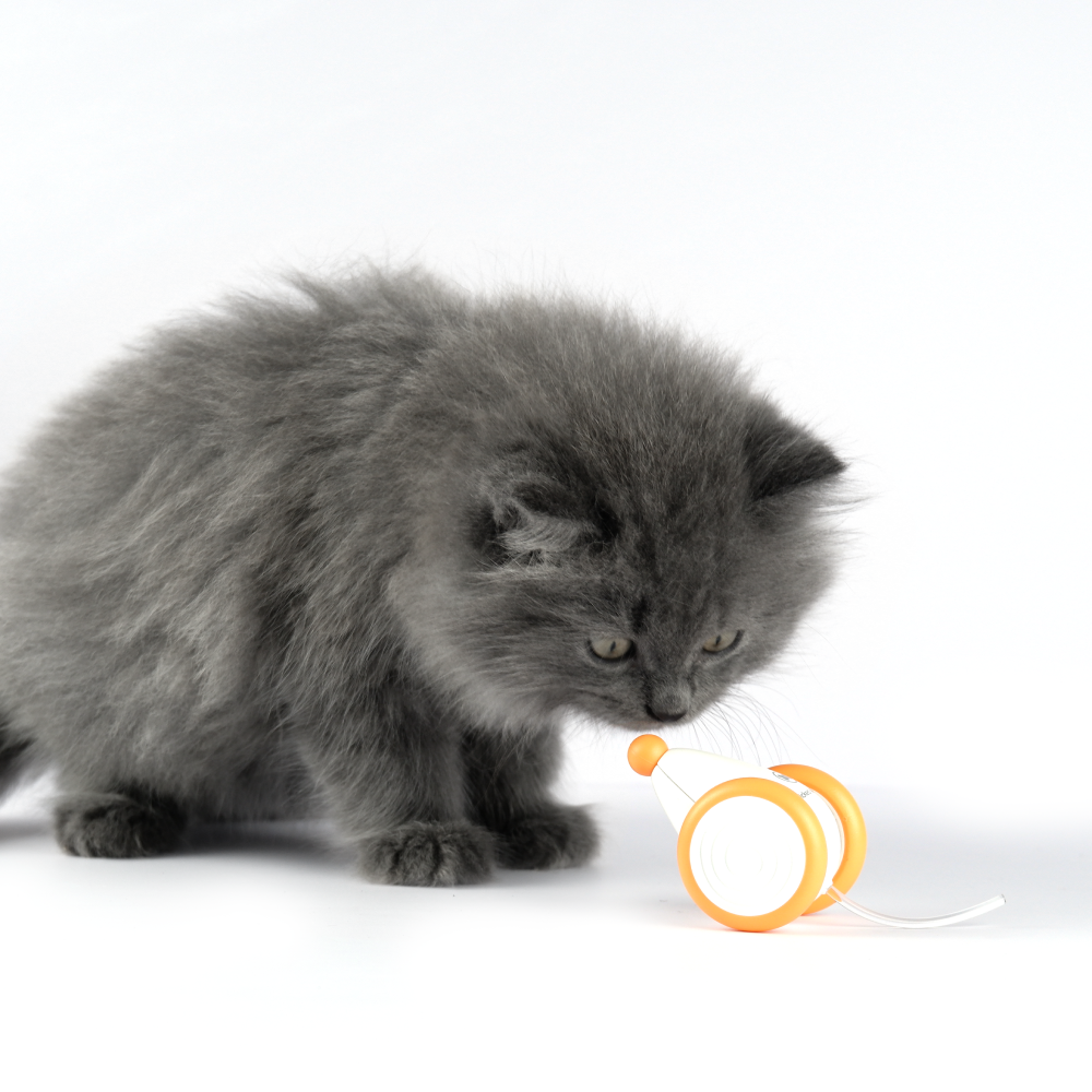 Cheerble Wicked Mouse Interactive Toy for Cats (Orange) Cats-Toys Cheerble