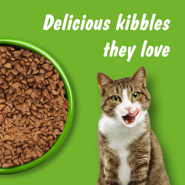 Kitekat Ocean Fish Adult Cat Dry Food