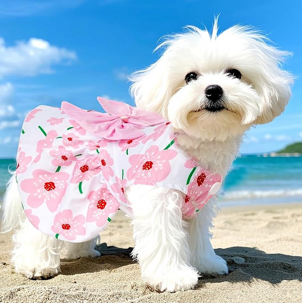 KUTKUT Cute Floral Pattern with Lovely Bow Dress for Small Dogs & Cats